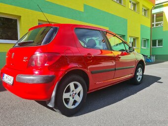 Peugeot 307 - 6