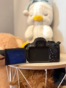 Canon EOS 600D + Canon 50mm f/1.8 + Sigma 70-300mm - 6