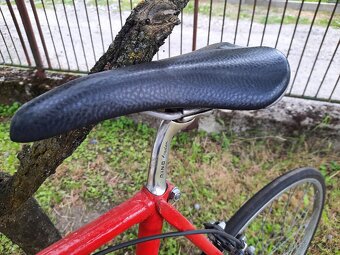 Favorit  F1 special, Campagnolo - 6