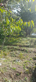 Predám záhradu - 6