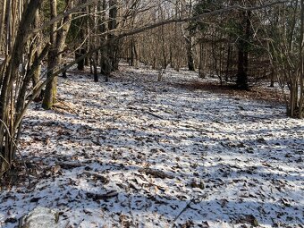 PREDAJ lesný pozemok, Chotár, Nová Baňa, 10 842 m2 - 6