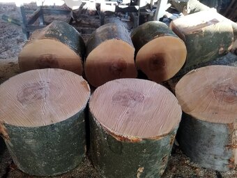 BUKOVÉ A SMREKOVÉ PALIVOVÉ DREVO - 6