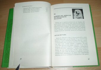 Slovenský čuvač - 6