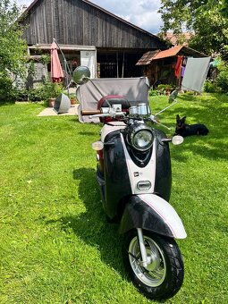 Adams moto JinLun 50ccm3 Retro - 6