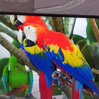 Samsung 4k led lcd tv 50 (127cm) smart - 6