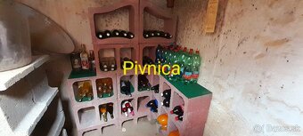 Záhrada pri rieke Váh s chatkou - 6
