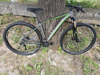 Specialized Rockhopper Comp M ,,29" - 6