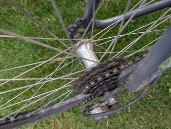 Pánsky bicykel Fatria-Čaprnka s nástavcom pre psa - 6