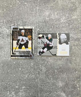 Hokejové kartičky Slováci v NHL - 6