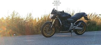 Honda CB600F Hornet - 6
