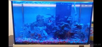 Komplet akvárium - Tetra 50L - 6