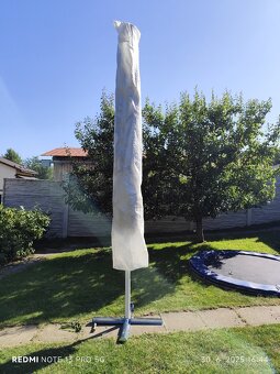 Slnečník - 6
