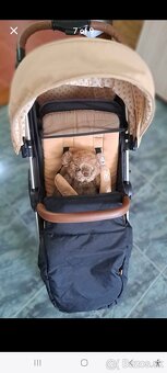 Sportovy kociar Petit&Mars Royal Heritage - 6