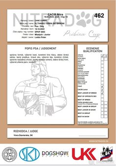 Krytie Cane corso - 6