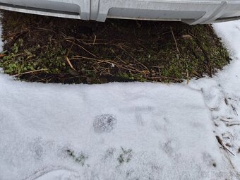 Rozpredám Škoda Octavia 3 Scout - 6