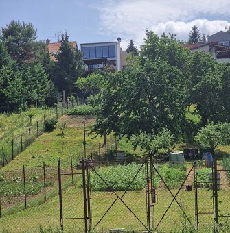 Predám záhradu s projektom na zahradný dom - chatu do 50m2 - 6