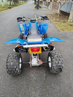 Yamaha Raptor 660R - 6