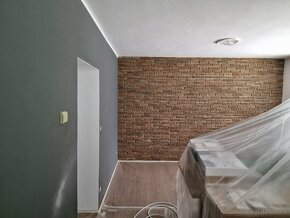 Maľovanie airless, maliarske práce, opravy, tmelenie - 6