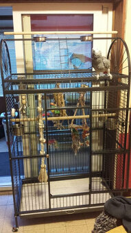 XXL voliéra - klietka - 6