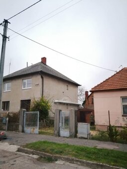 Pílenie a orez stromov - 6