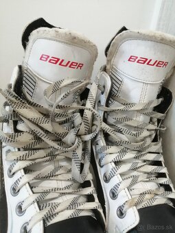 BAUER - 6