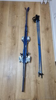 Lyže SALOMON SuperAXE 8, 170cm - 6