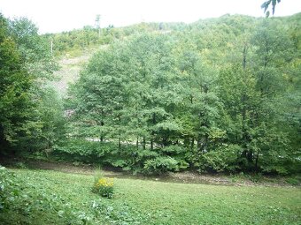 Na predaj lesný rekreačný pozemok Drietoma - Liešna, 6549m2 - 6