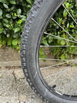 CTM Mony 24" - 6