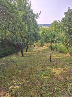 Záhrada na predaj - 6