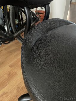 Spinalis rodeo - 6