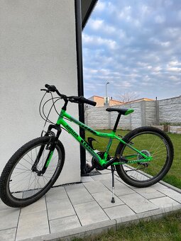 Kenzel Roxis SF24 - 6