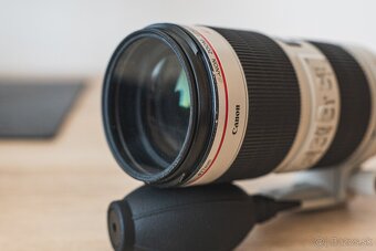 Canon EF 70-200mm f/2.8L IS II USM - 6