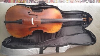Violončelo - 6