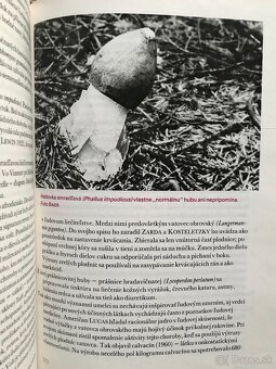 5 x literatura o hubach - 6