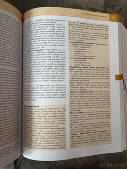 Interna Češka - 6