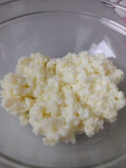 KOMBUCHA a KEFIROVÉ ZRNÁ - 6