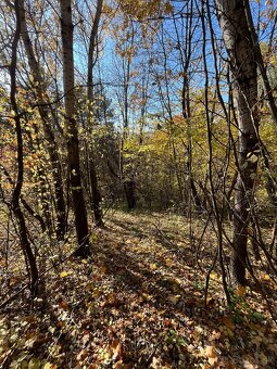 Predam pozemok zahradku na Mihalove Bardejov - 6