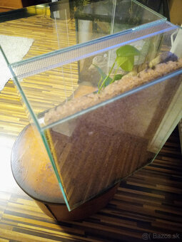 Zariadené terárium 30x30x40 pre tropického miláčika - 6