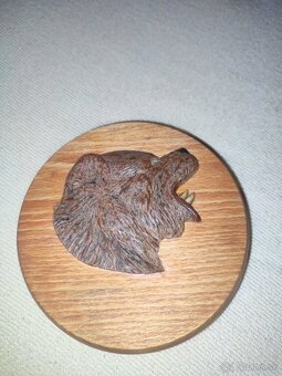 Vychádzková palica a dymka - 6