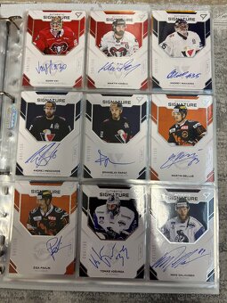 Hokejové kartičky - 6