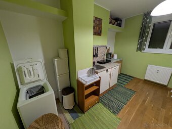 Large refurbished 1-bedroom apartment - 6