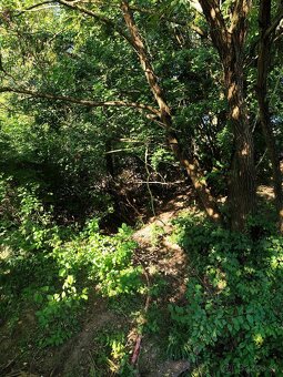 Lukratívny stavebný pozemok v Trenčíne – Kubrá - 6