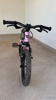 Detský bicykel Rascal 14” Raspberry - 6