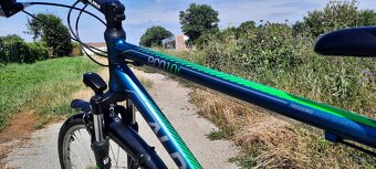 Bicykel Alpina Eco T10 - 6