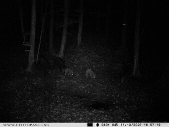 Fotopasca Wettar 7310 2G - 6