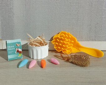 Malá princezná, koč, dva kone a doplnky - 6