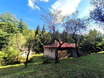 POZEMOK NA POLOSAMOTE PRI LESE S POTOČIKOM/PSTRUHY,RAKY/ 312 - 6