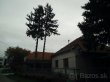 Pílenie stromov nad domom, elektrickým vedením, pomníkmi - 6
