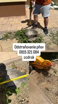 Profesionálne frézovanie a likvidácia pňov – rýchlo, bezpečn - 6