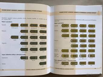 Keltské mýty a magie, S Rusmi o Rusku, Fándly Piľní domajší - 6